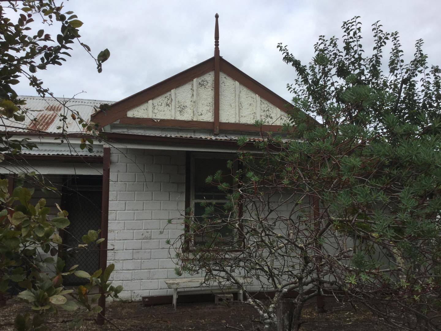 The Cottage
